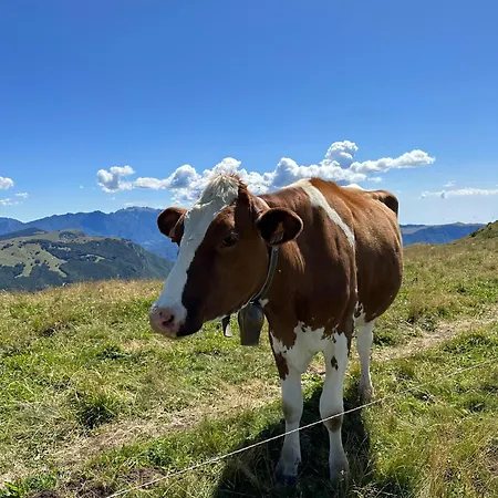 Apartmán La Casetta Di Benedetta - Monte Baldo View - Tra Il Garda E Il Baldo Ferrara di Monte Baldo